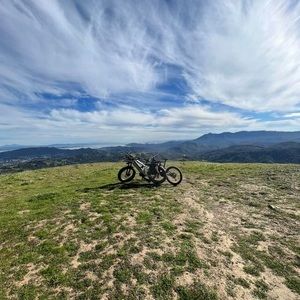 Meet your Posher, William